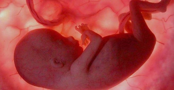 ما الغاية من خلق الإنسان