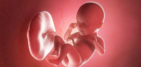 ما الغاية من خلق الإنسان