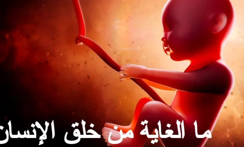 خلق الإنسان