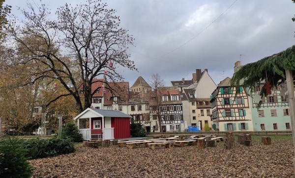 ساحة لويز فايس