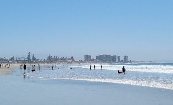 شاطئ كورونادو دوج بارك سان دييغو