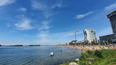 شواطئ لاهاي