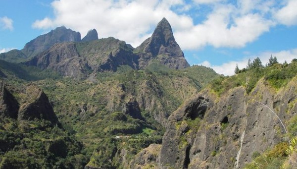 غابات ريونيون شبه الاستوائية السحابية