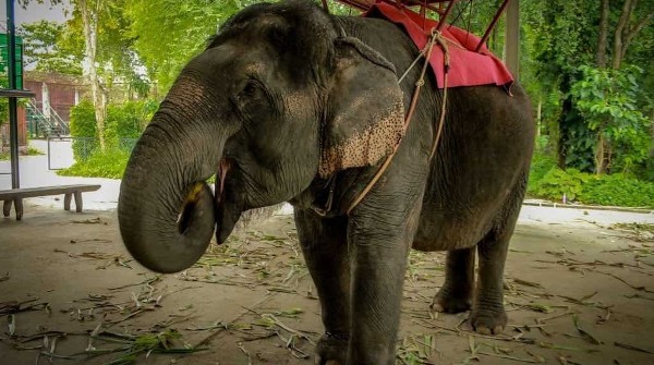 السياحة في بتايا