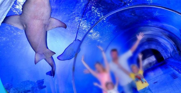 السياحة في الغردقة