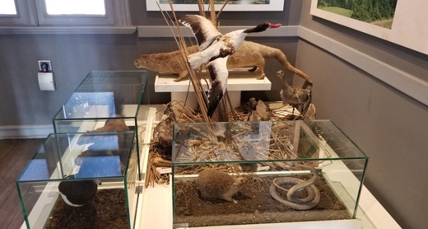 متحف سامسون للتاريخ والاثنوغرافيا