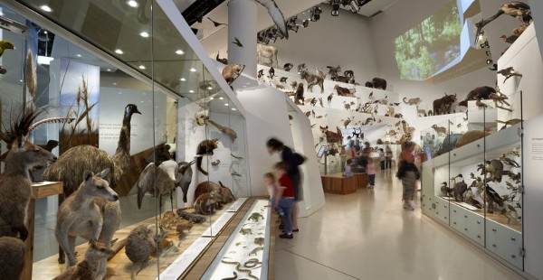 السياحة في ملبورن متحف ملبورن