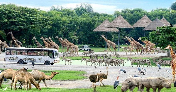 السياحة في كوساموي