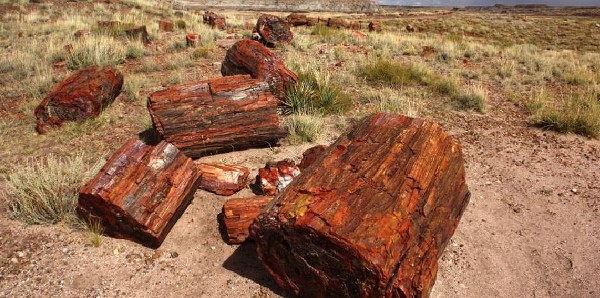 السياحة في العين السخنة