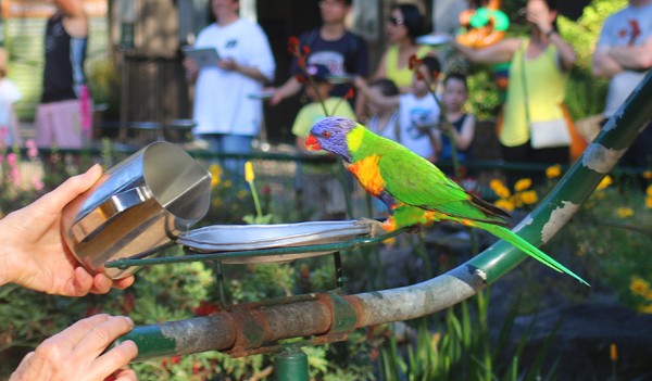 محمية كورسين للحياة البرية