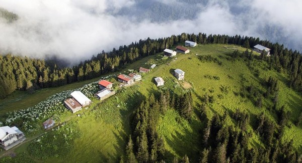 مراعي بوكوت