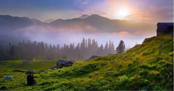 مراعي غورغيت