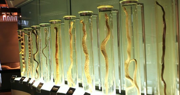 السياحة في بانكوك