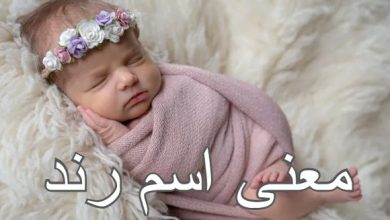 معنى اسم رند