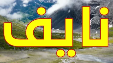 معنى اسم نايف