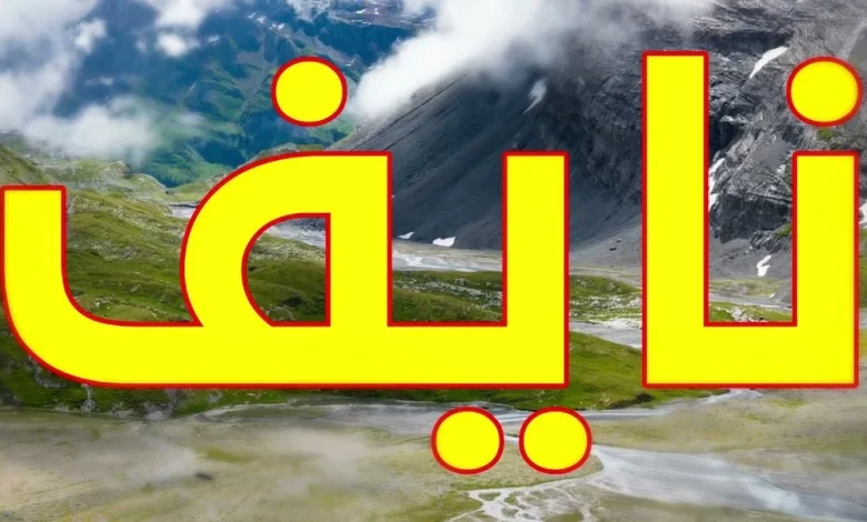 معنى اسم نايف