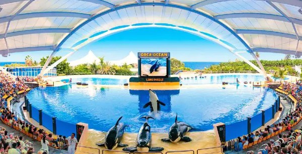 السياحة في جزر الكناري