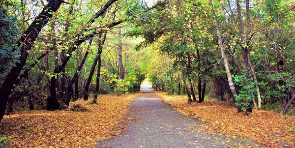 منتزه مارماريس الوطني