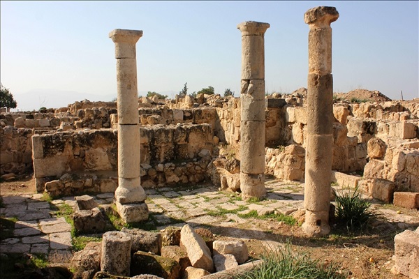 السياحة في اربد