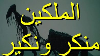 من هم منكر ونكير