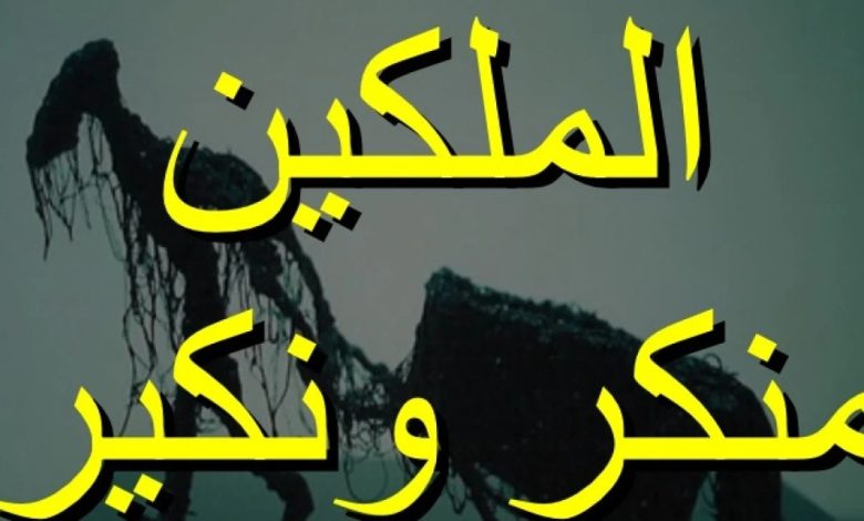 من هم منكر ونكير