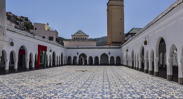 مولاي ادريس