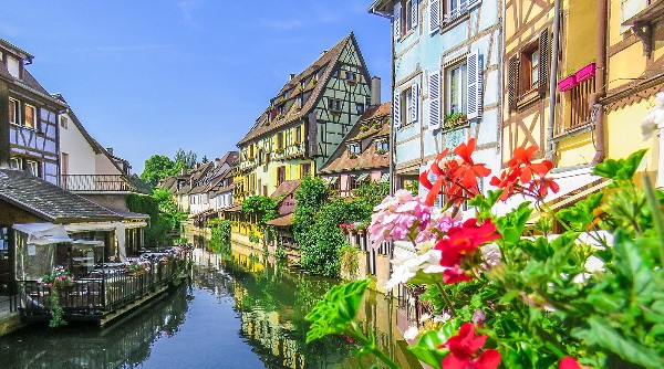 ميزون دي تيس