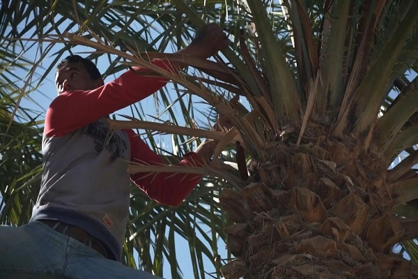 السياحة في جزيرة جربة