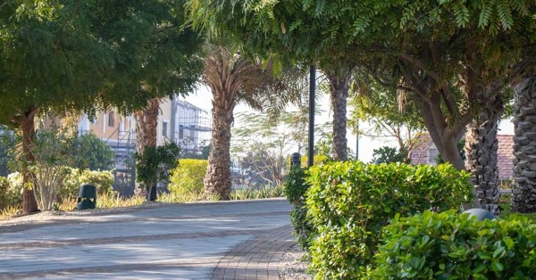 السياحة في شيكاغو نورث بارك الطبيعية