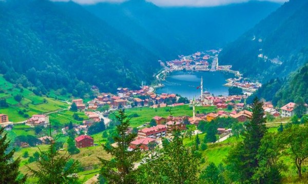 هضبة هالديزن