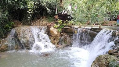 السياحة في اربد