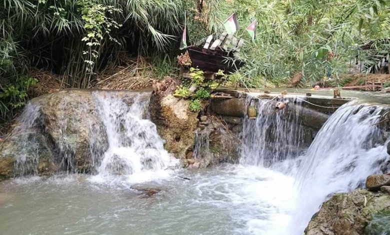 السياحة في اربد