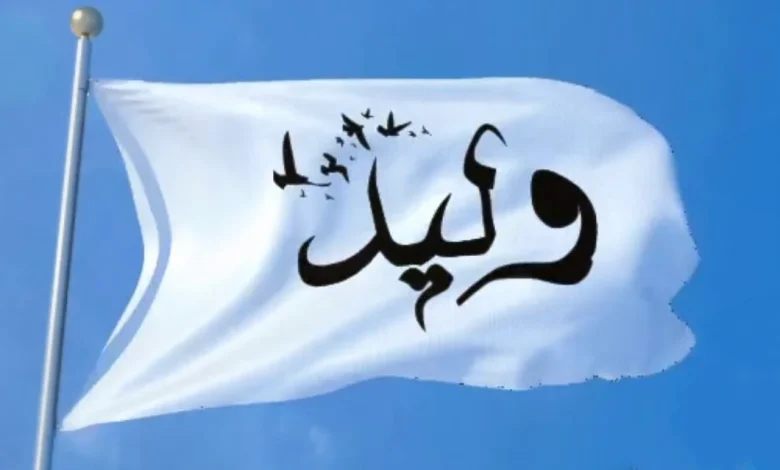 معنى اسم وليد