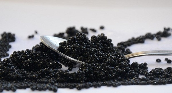 أضرار الكافيار