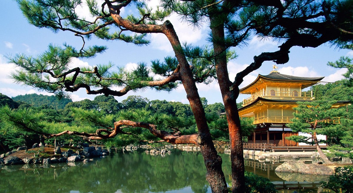 صورخلفيات الطبيعة