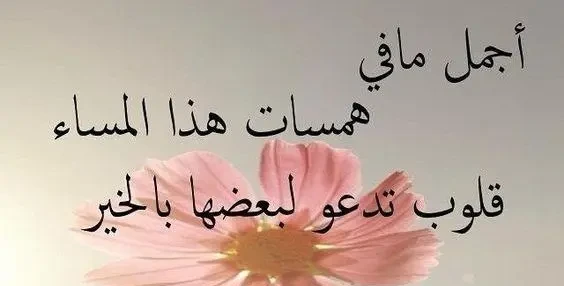 صور مساء الخير
