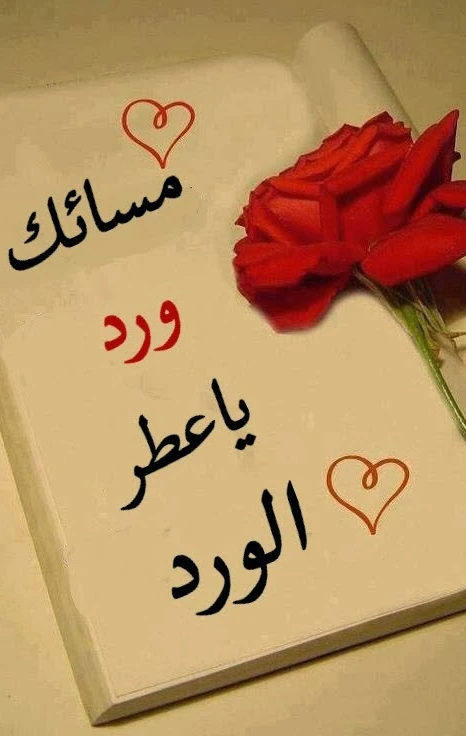 صور مساء الخير