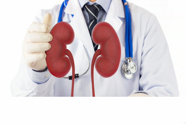 تخصص مسالك بولية