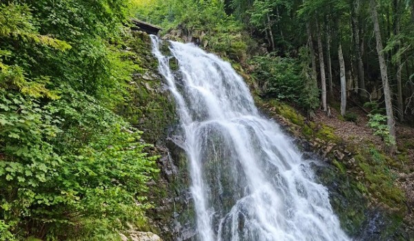 شلالات سويسرا