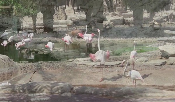 السياحة في الشارقة