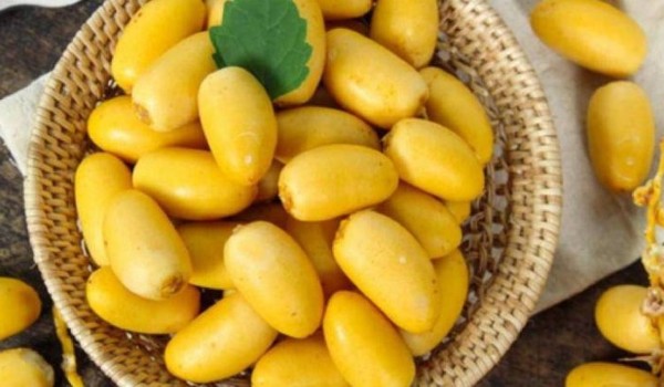 تفسير البلح في المنام