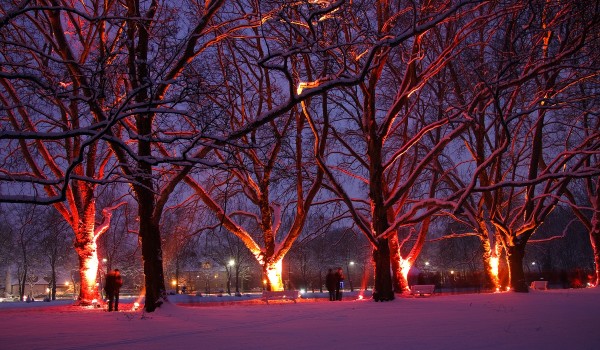 افضل اماكن السياحية في هام