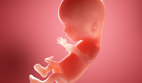 لماذا خُلِق الإنسان