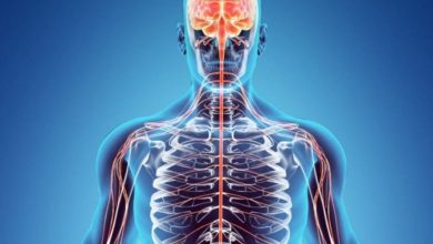 لماذا خُلِق الإنسان