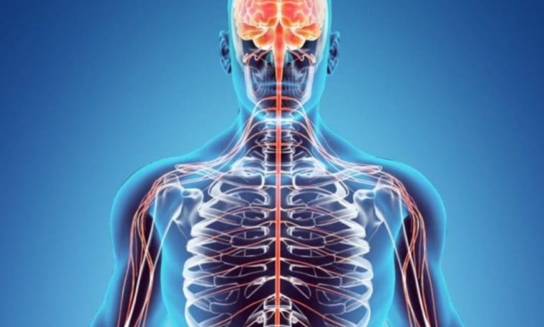 لماذا خُلِق الإنسان