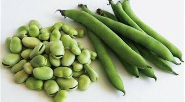 أضرار الفول الأخضر