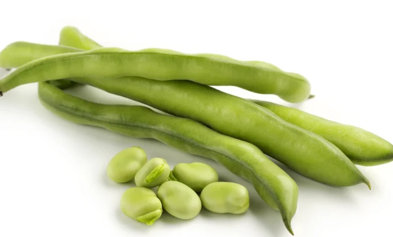 أضرار الفول الأخضر