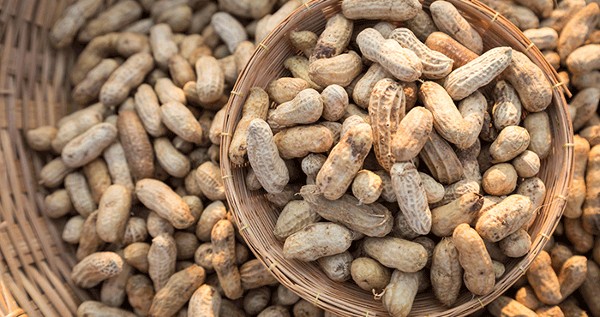 أضرار الفول السوداني علي القولون