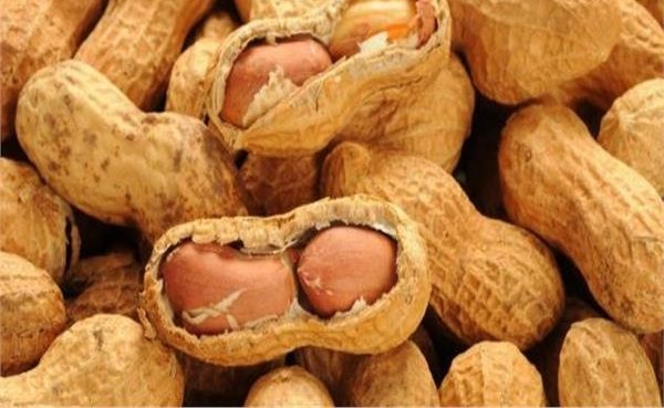 أضرار الفول السوداني علي القولون