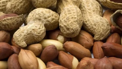 أضرار الفول السوداني علي الكلي